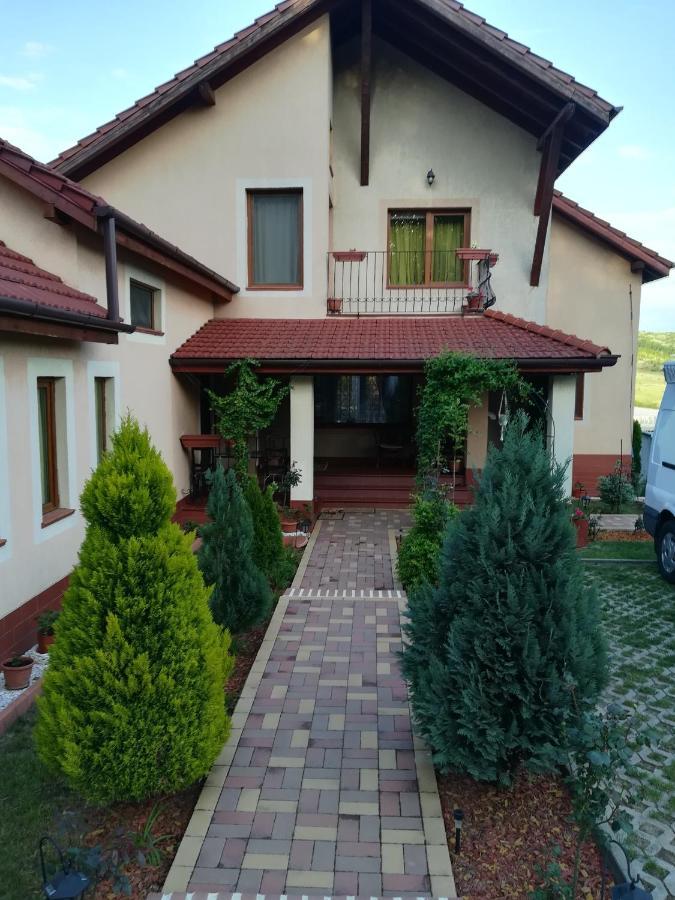 Apartamento Casa Doina Băile Felix Exterior foto