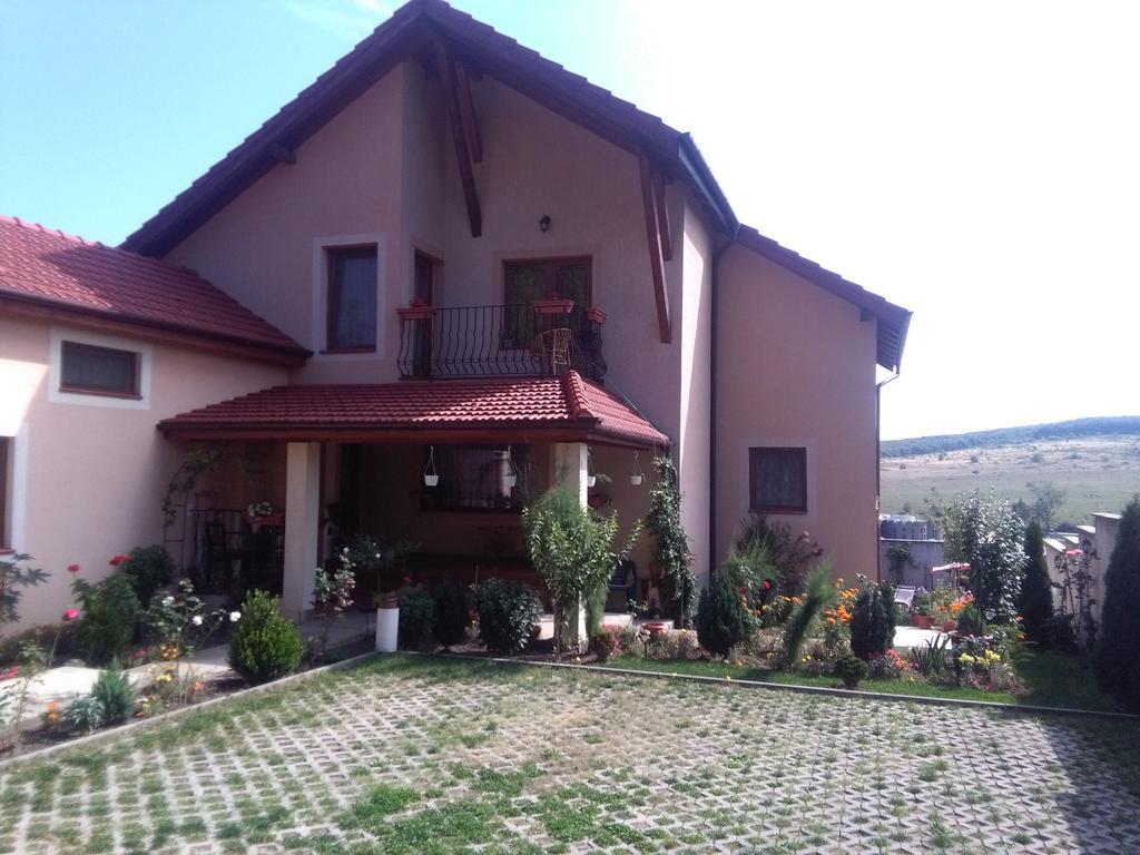 Apartamento Casa Doina Băile Felix Exterior foto