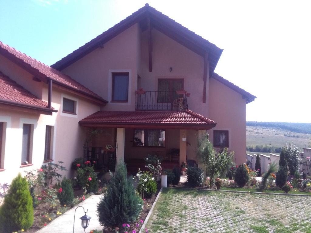 Apartamento Casa Doina Băile Felix Exterior foto